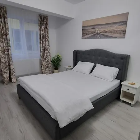 Cozy Pallady *